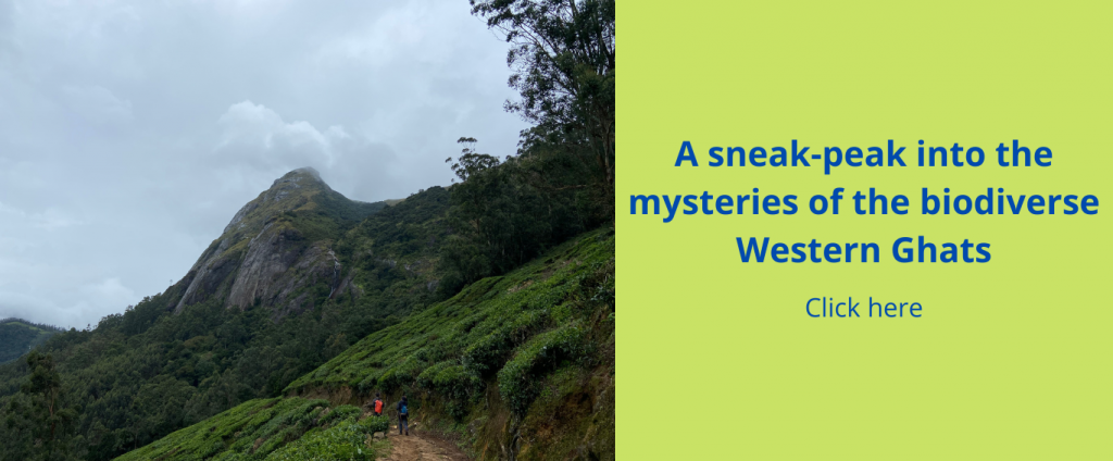 A sneak-peak into the mysteries of the biodiverse Western Ghats